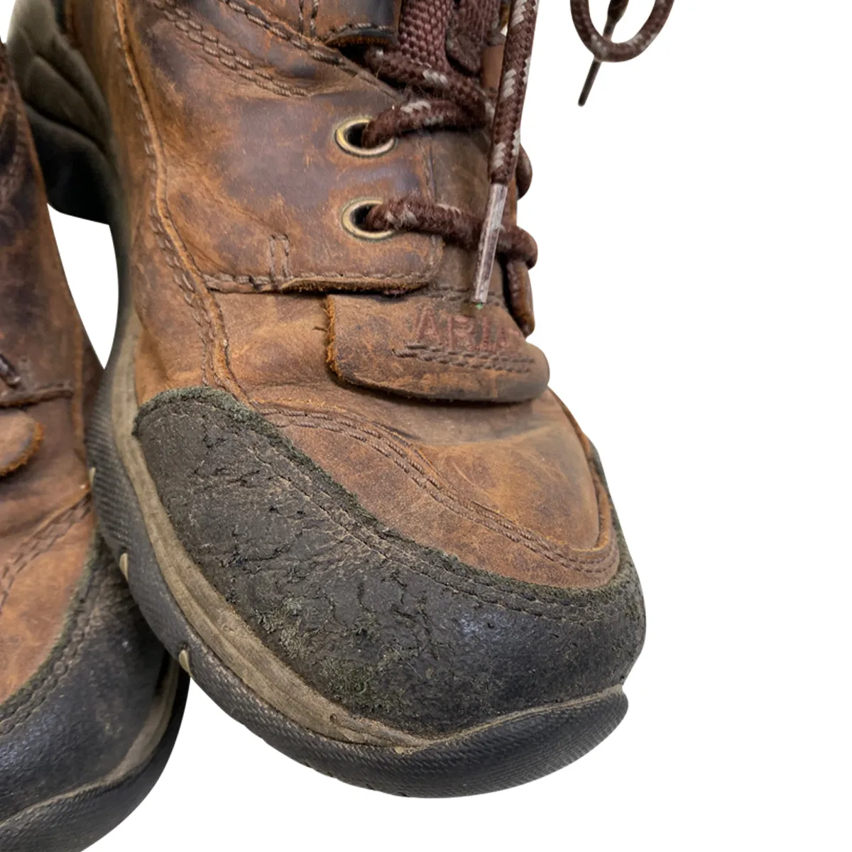 Ariat 'Terrain H20 Insulated' Boots in Brown - Women's 6